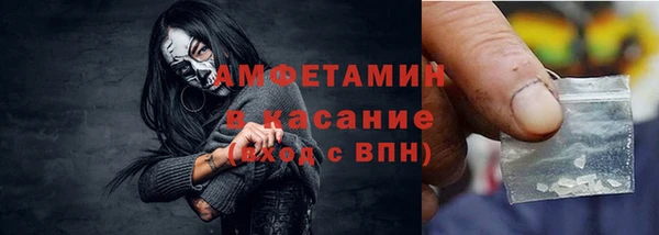 шишки Верхний Тагил