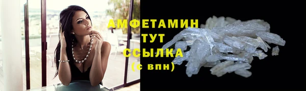 шишки Верхний Тагил