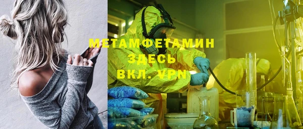 шишки Верхний Тагил