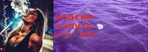 шишки Верхний Тагил