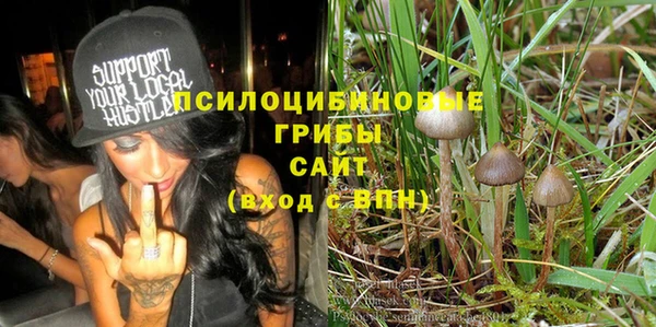 шишки Верхний Тагил