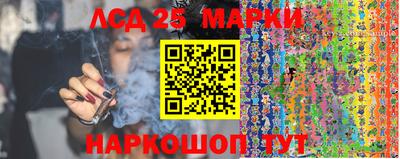 индика Краснознаменск