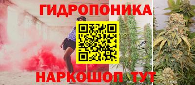 крисы Краснокаменск