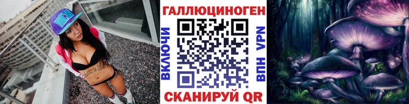 магазин    дарк нет формула  Псилоцибиновые грибы Cubensis  Северск 