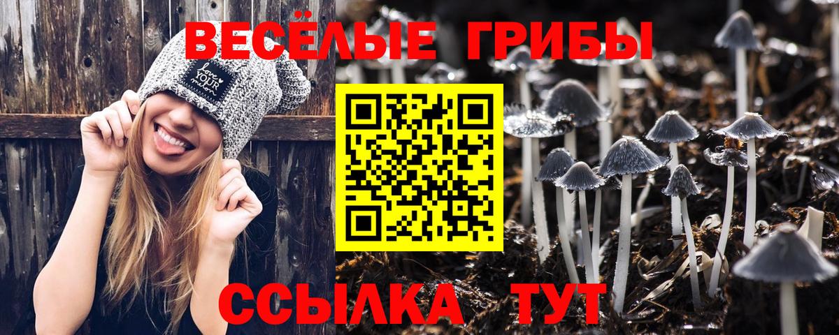 Северск  Псилоцибиновые грибы Psilocybine cubensis  Вход с VPN 